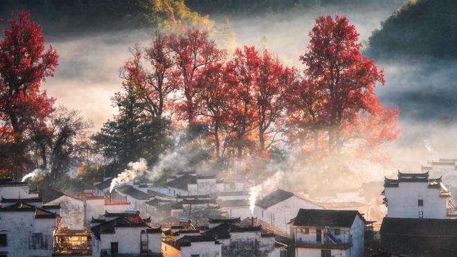 江西婺源五天四晚报团攻略:双人3-4月衣食住行婺源不踩坑要点(图5)