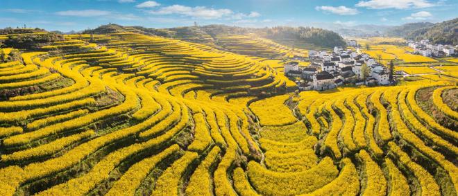 江西婺源五天四晚报团攻略:双人3-4月衣食住行婺源不踩坑要点(图1)